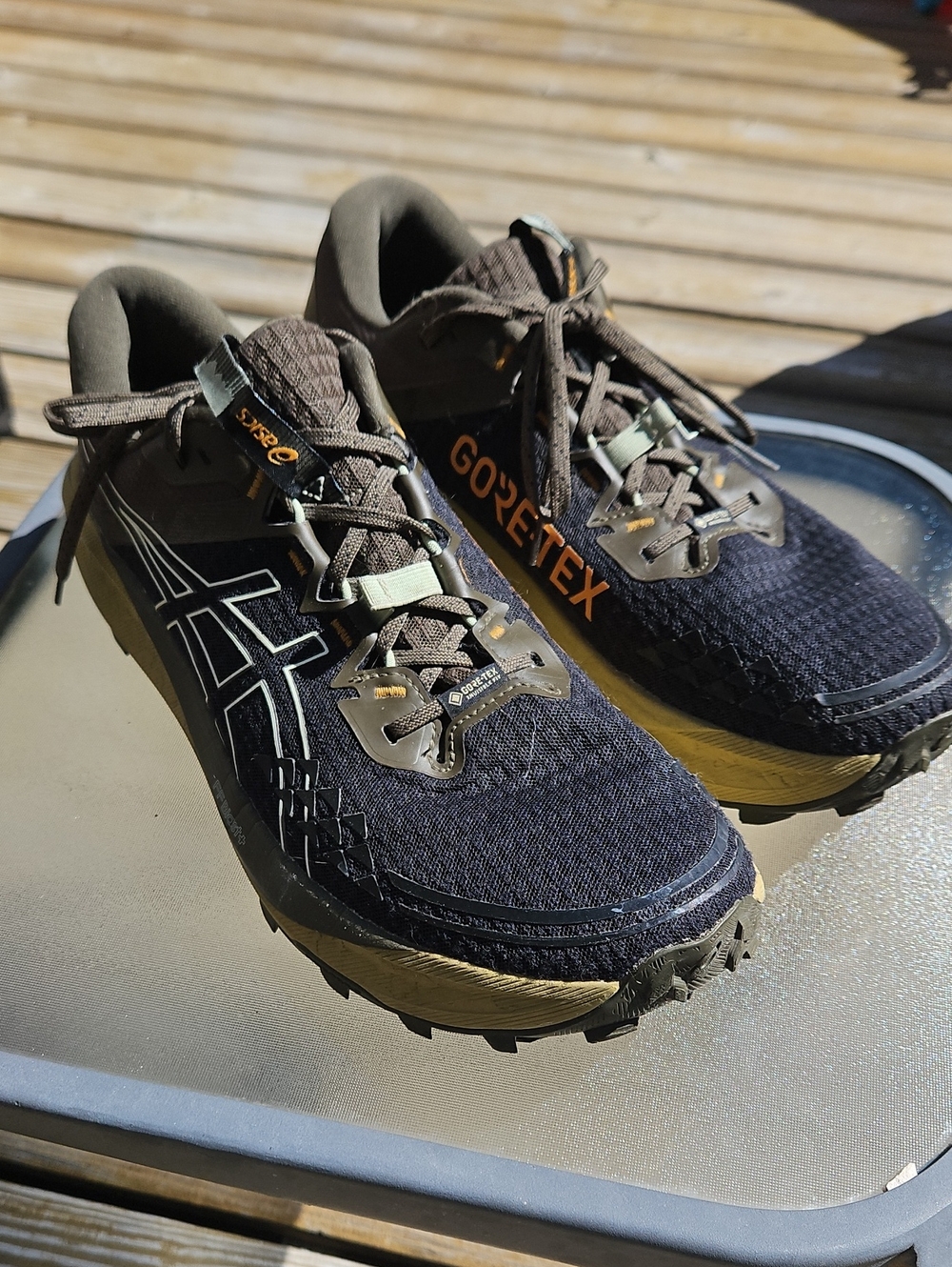 ASICS Men's Black/Green Gore-Tex FFBlast+ Trail Running Shoes